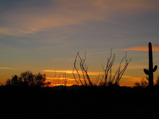 Ocotillo Sunset, Tucson Mtns